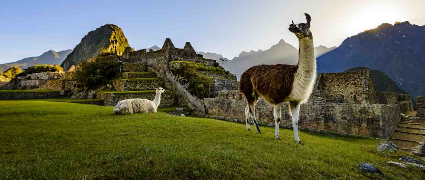 Visita Machu Picchu con Inca's Paradise