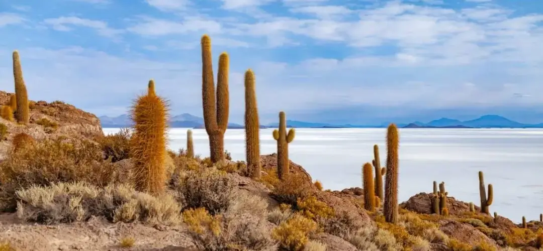 Tour Salar de Uyuni en Bolivia con Inca's Paradise