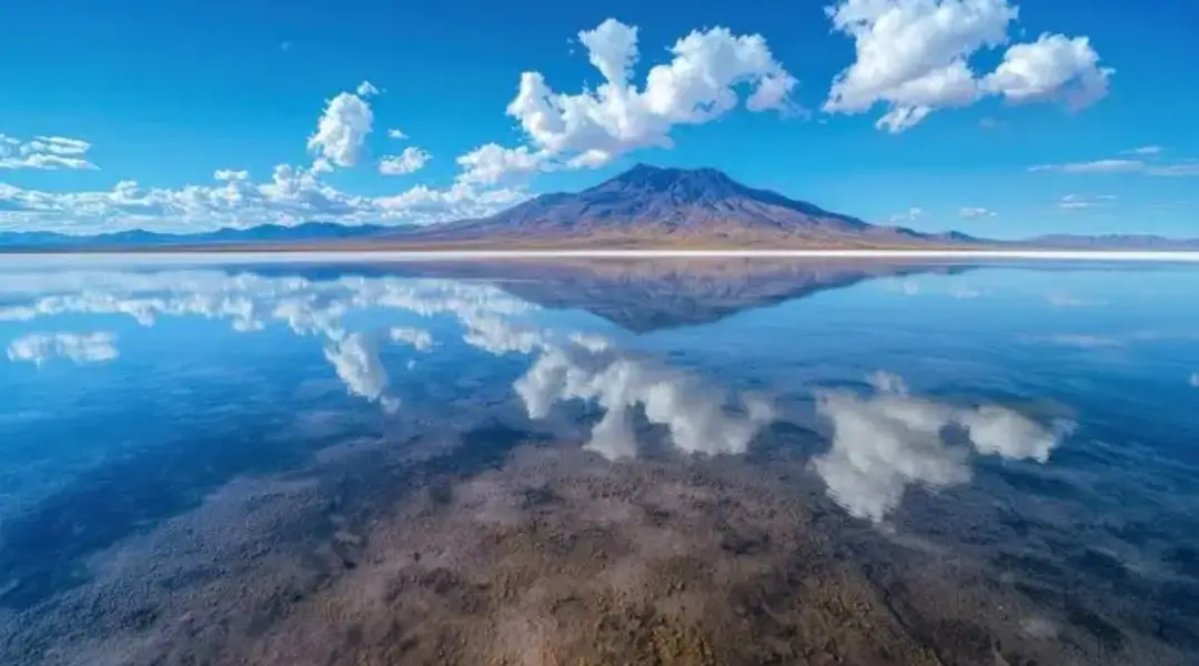 Tour Uyuni Candelaria 2025