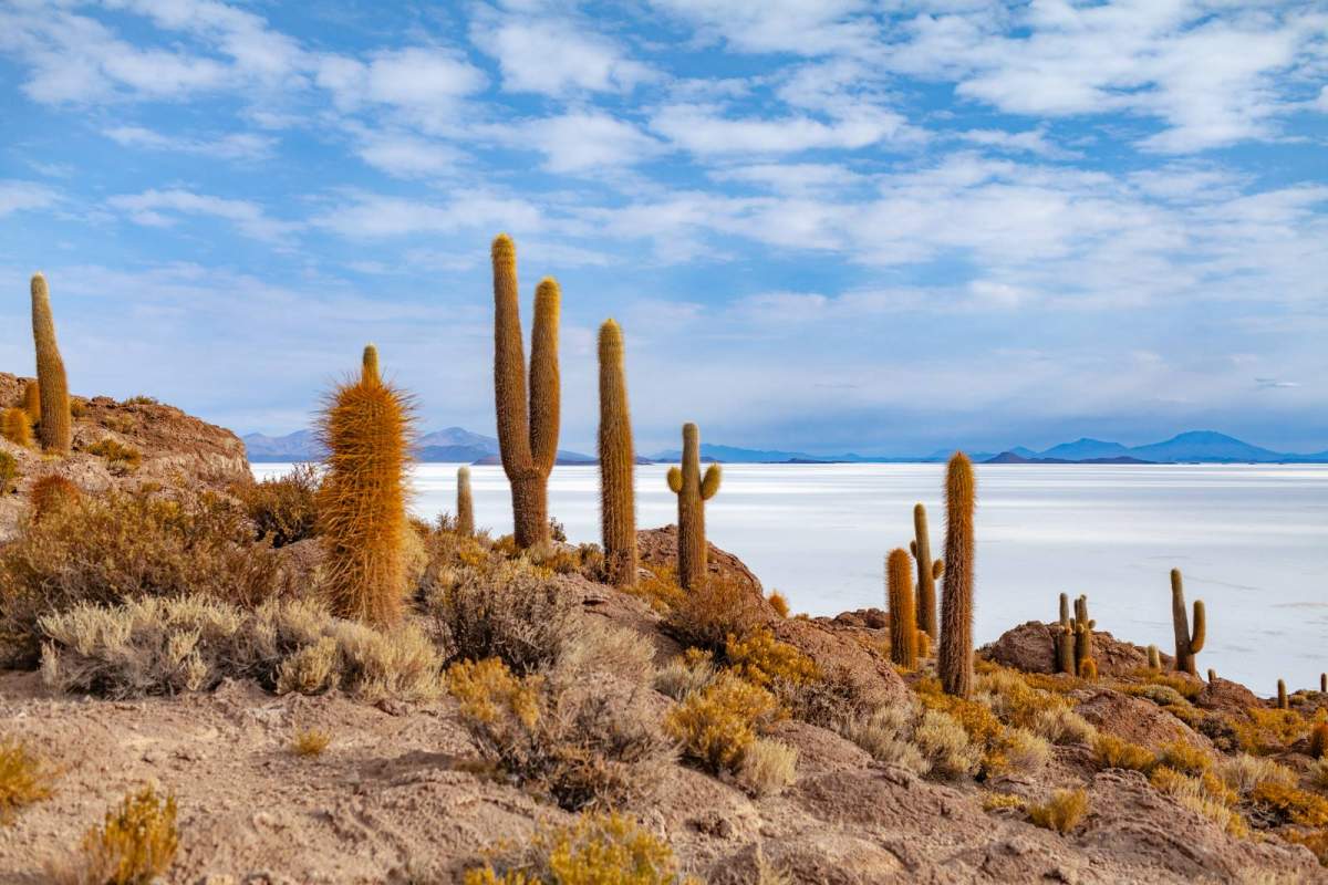 Tour Salar de Uyuni en Bolivia con Inca's Paradise Travel Agency - Comfort